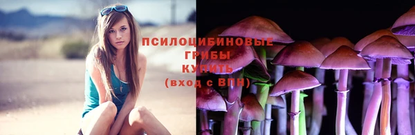 тгк Покров