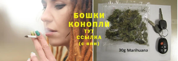 гидропоника Балабаново