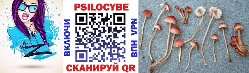 сколько стоит Лыткарино mega онион Галлюциногенные грибы мицелий