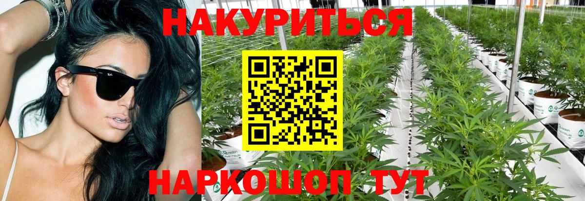 Лыткарино  Канабис планчик  Вход с VPN  Шишки марихуана марихуана 